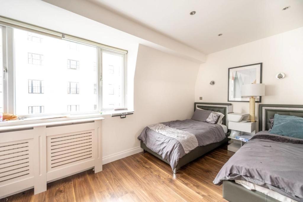 Stanhope Terrace Apartment London Bagian luar foto